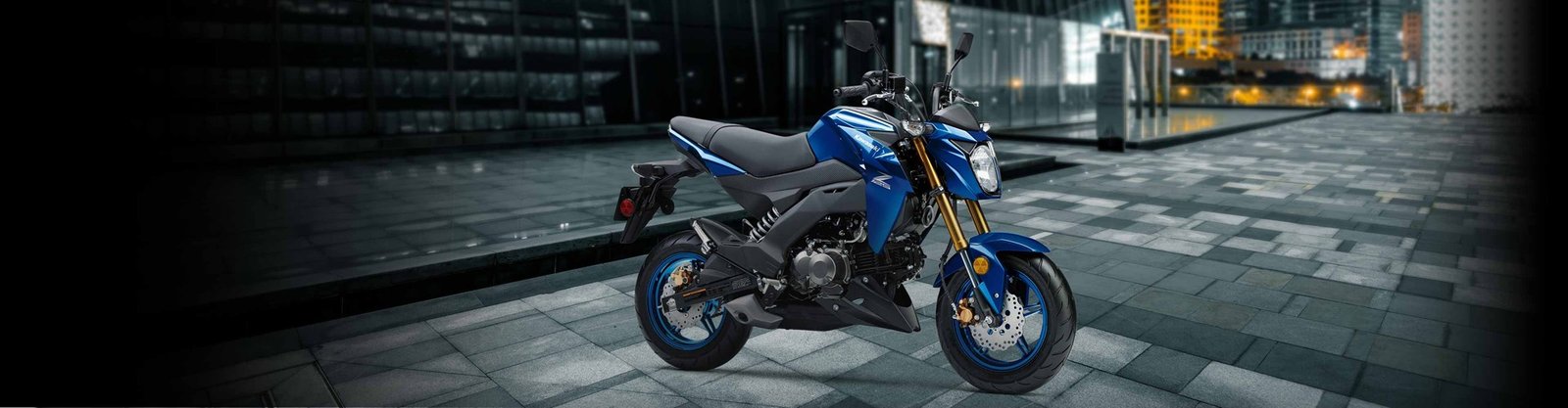 2027 Kawasaki Z125 PRO